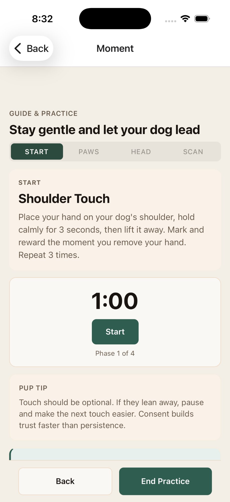 Zenoomi guided activity flow showing phased timer, step-by-step directions, and pup tips
